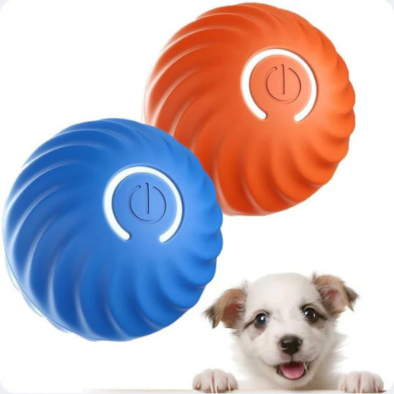 Zoomie Ball ¦ Self-Rolling Smart Dog Toy (USB-C Rechargeable)