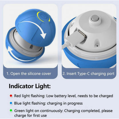 Zoomie Ball ¦ Self-Rolling Smart Dog Toy (USB-C Rechargeable)