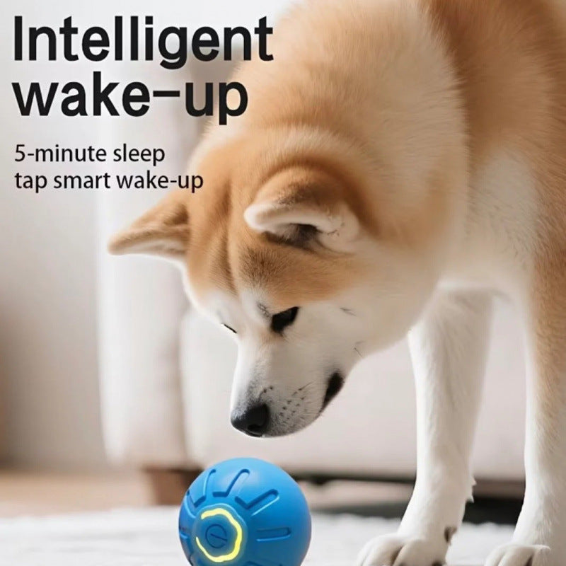 Zoomie Ball ¦ Self-Rolling Smart Dog Toy (USB-C Rechargeable)